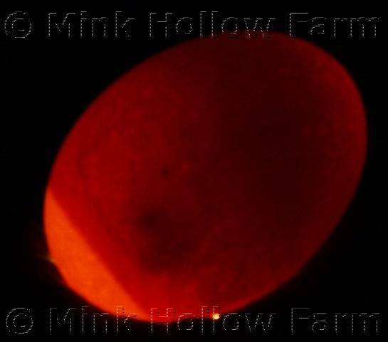 7-days-002_demo.jpg 7-days-002_demo.jpg