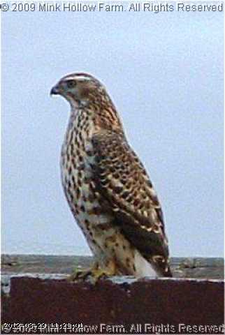 2007-10-28_22-17-21_002.jpg