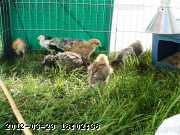 07-07-051_wm.jpg