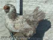 2009-05-23_08-54-11_255.jpg