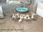 05-05-042_wm.jpg