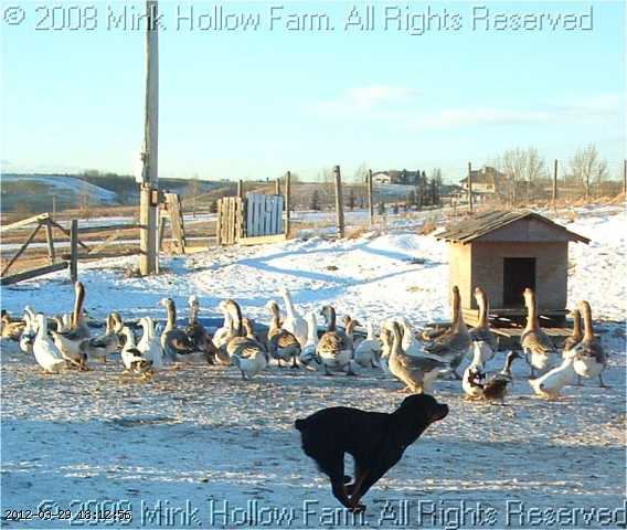 07-12-044_wm.jpg