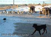 07-12-045_wm.jpg