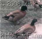 000-90-01_w.jpg