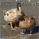 04-03-20-kc-05_w.jpg