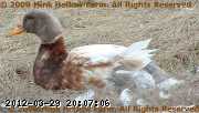 2009-04-21_09-31-19_001.jpg