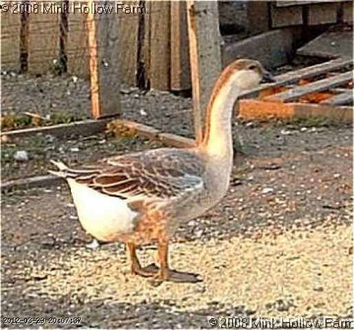 ba-august 077_w.jpg