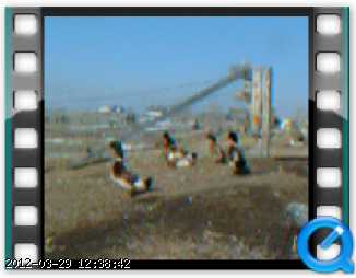 m-ducks-28-02-04-02.png