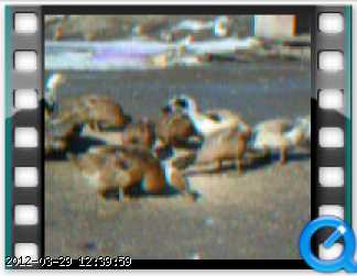 m-ducks-28-02-04-04.png