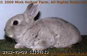 2009-03-14_09-38-27_001.jpg