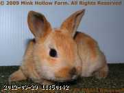 2009-03-14_09-38-47_001.jpg