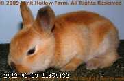 2009-03-14_09-38-55_001.jpg