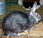 2009-03-14_09-40-32_001.jpg