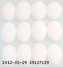 egg-bg-2.jpg