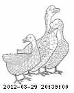 geese-1.gif