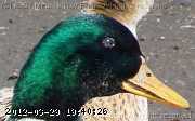 head2.jpg
