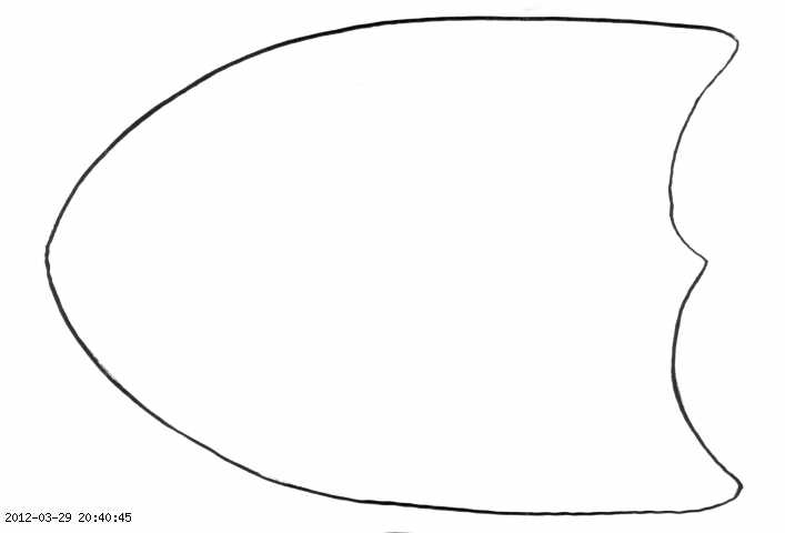 duck-foot.png