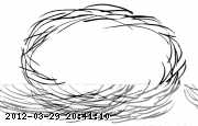 nest.gif