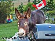06-aug016_edited.jpg