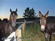 06-aug022_edited.jpg