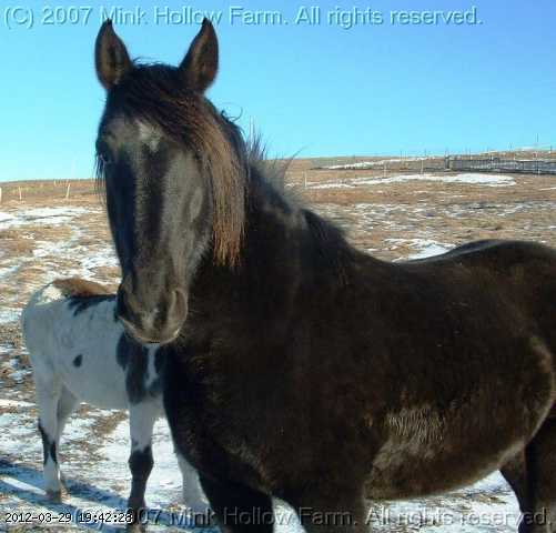 dec 078.jpg