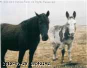 sm-puzzle-q2-apr-2003.jpg