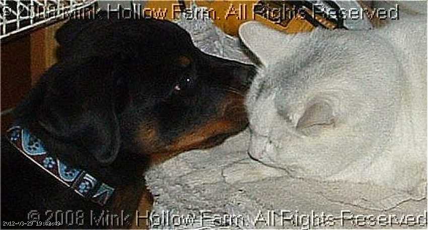 2007-10-195b_wm.jpg