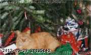 1996-sm-wiley-xmas-96.jpg