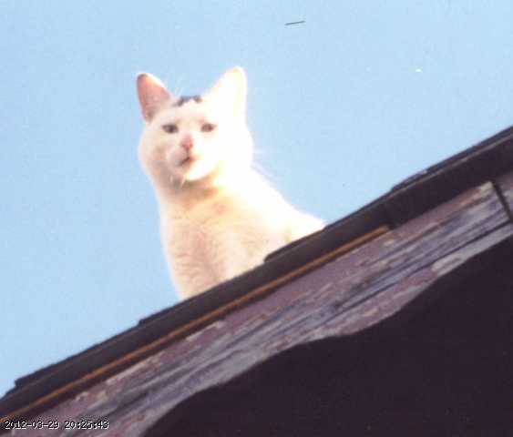 1999-kipa-01.jpg