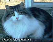 2005-12-dec 108.jpg
