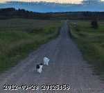 2006-july053_edited.jpg