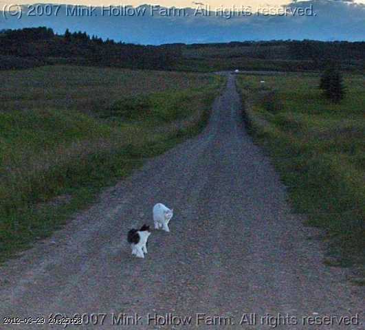 2006-july053_edited.jpg