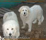 2002-01-01_08-30-48_001.jpg