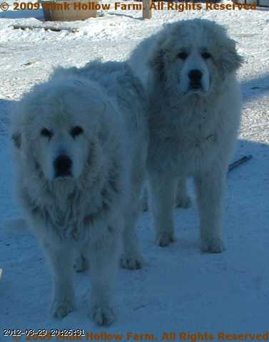 2005-12-06_23-07-11_001.jpg