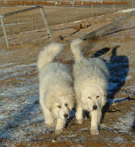 2005-12-14_21-58-43_001.jpg