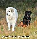 2006-aug025_edited.jpg