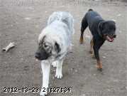 2009-11-05_10-34-14_002.jpg