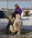 2010-12-11_12-38-20-02s.jpg