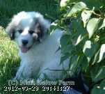 2005-09-aug 010c.jpg