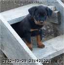 2007-09-106b_wm.jpg
