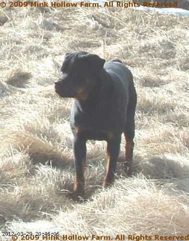 2009-04-12-007.jpg