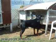 2009-06-09_12-46-11_198.jpg
