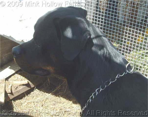 2009-06-09_12-48-58_207.jpg