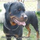 2009-06-12_11-59-08_265.jpg