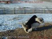2008-02-06 059.JPG