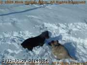 2009-03-25-128.JPG