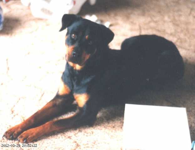1995-06-002d.jpg