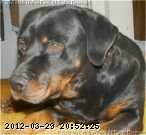 2004-s-pixel-3.jpg