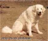 scanner-1.jpg