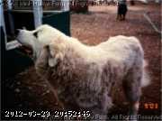 sm-scanner-04-09-03.jpeg